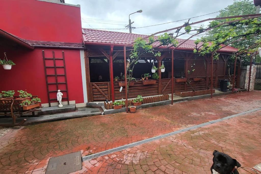 Villa Casa In Oradea ! Esterno foto